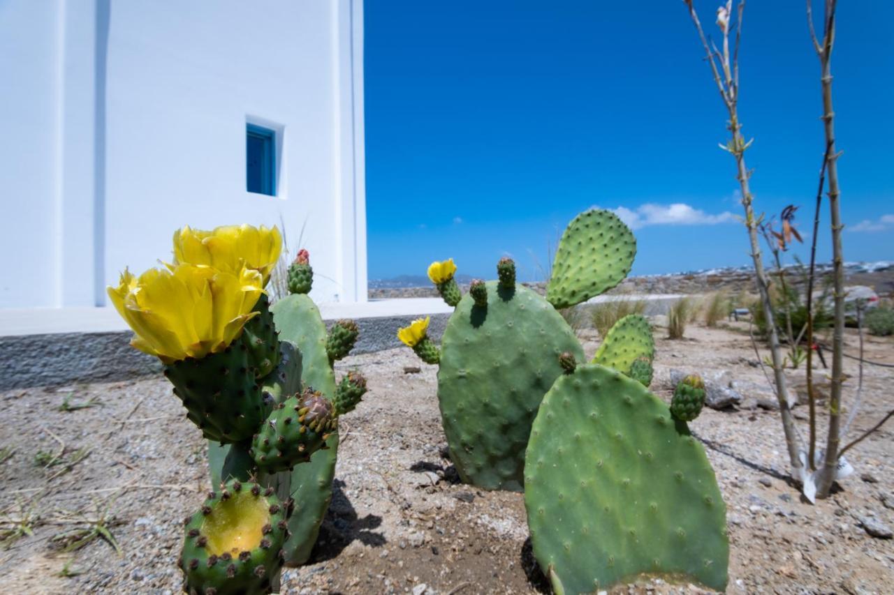 Lilly Villa By Bestofmikonos Орнос Екстер'єр фото